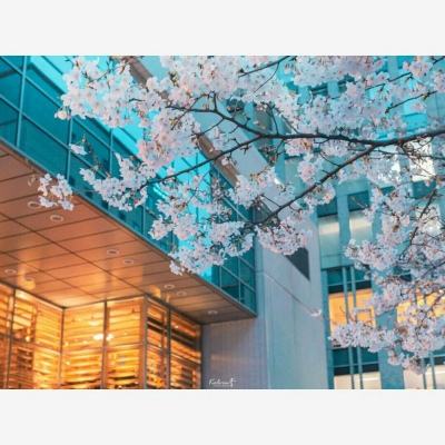 ag亚游APP登陆手机app下载